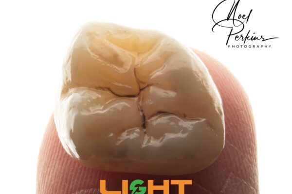 Dental Photography Masterclass