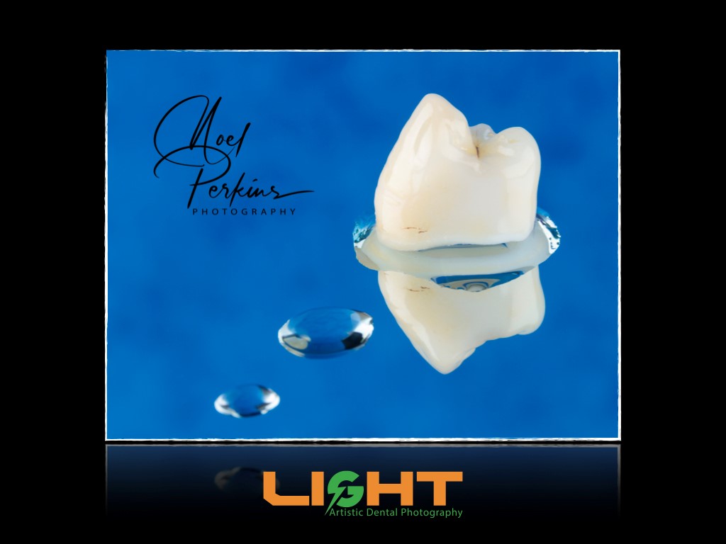 Dental Photography Masterclass course photo