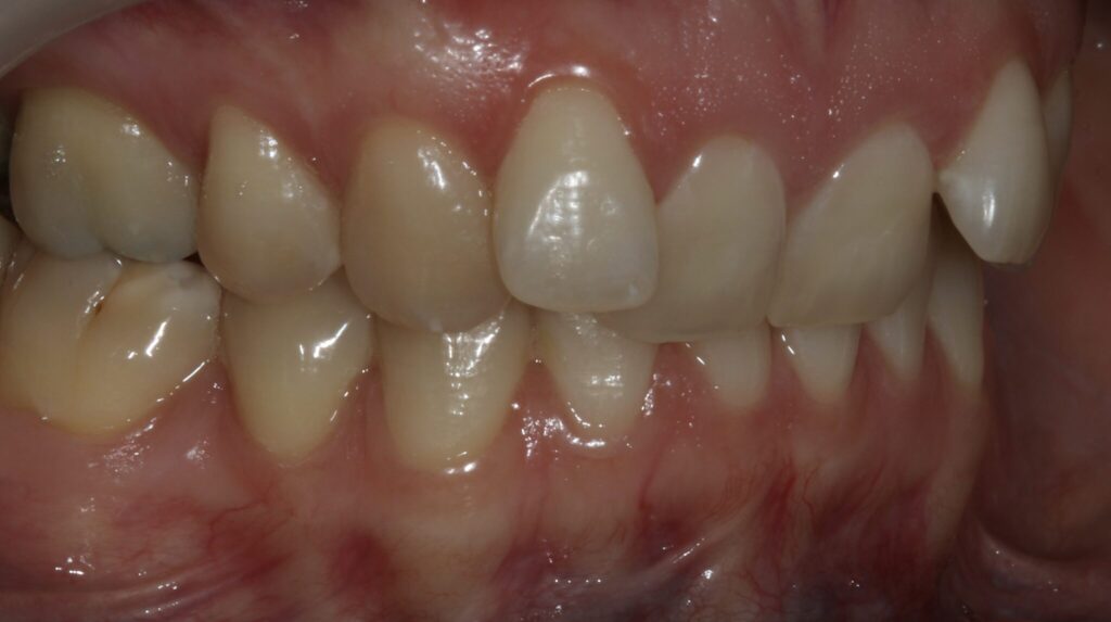 Orthodontics Masterclass course photo